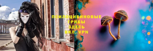 гашик Магас