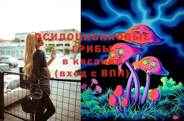 МДПВ Березники