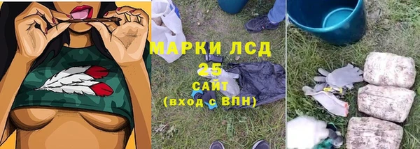 гашик Магас