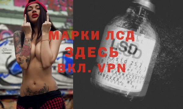 спиды Домодедово