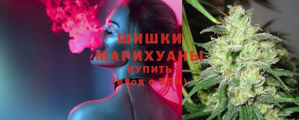 гашик Магас