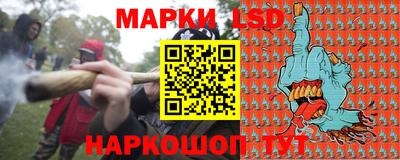 стафф Заволжье