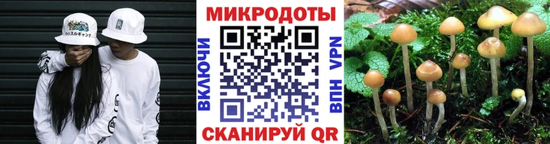 Псилоцибиновые грибы ЛСД Корсаков