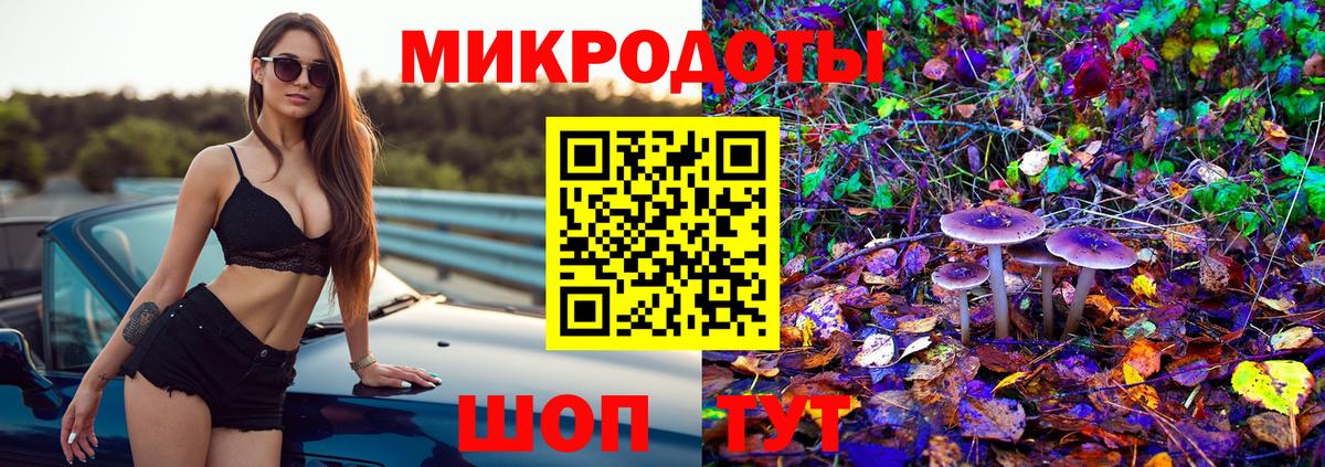 Псилоцибиновые грибы Psilocybe Корсаков