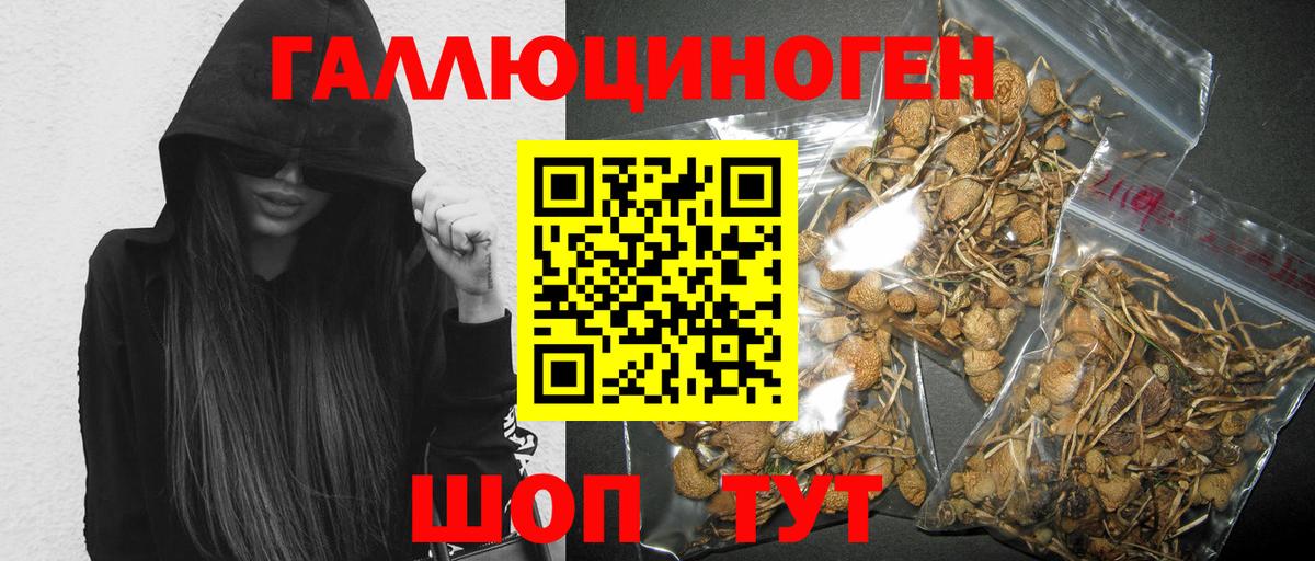 Галлюциногенные грибы мицелий  Псилоцибиновые грибы MAGIC MUSHROOMS  Вход с VPN  Корсаков 