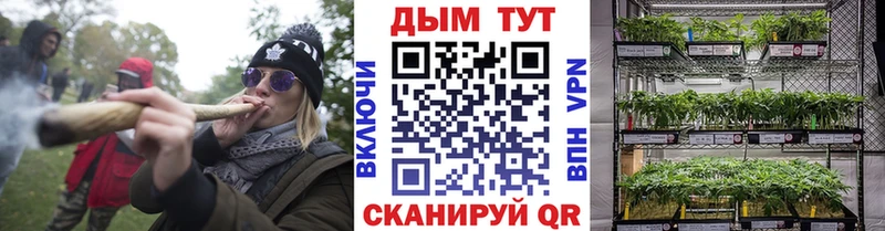 Каннабис индика  Корсаков 