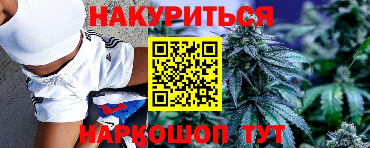 Канабис семена Корсаков